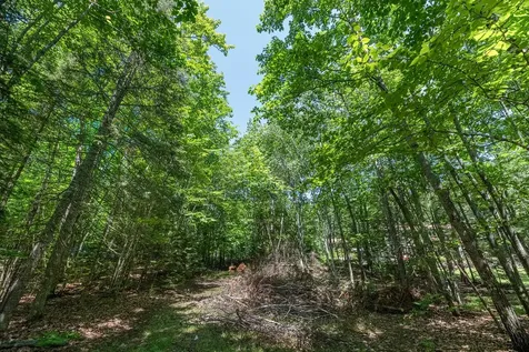 Off Shangri La Road Eagle River WI 54521
