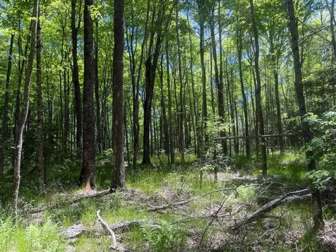 10662 Highway 139 Argonne WI 54511