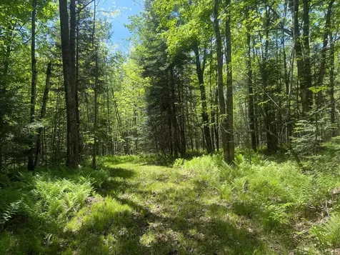 10662 Highway 139 Argonne WI 54511