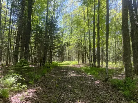 10662 Highway 139 Argonne WI 54511