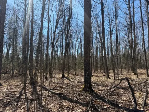 10662 Highway 139 Argonne WI 54511