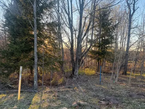 206 Tilden Street Hurley WI 54534