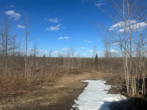 17166 Roddis Line Road Butternut WI 54514