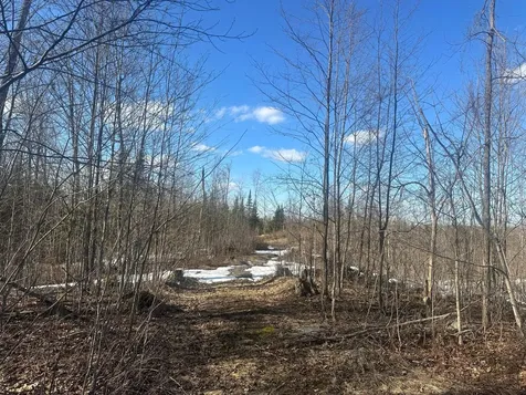 17166 Roddis Line Road Butternut WI 54514
