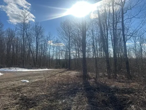 17166 Roddis Line Road Butternut WI 54514
