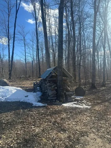 17166 Roddis Line Road Butternut WI 54514