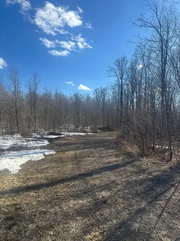 17166 Roddis Line Road Butternut WI 54514