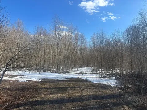 17166 Roddis Line Road Butternut WI 54514