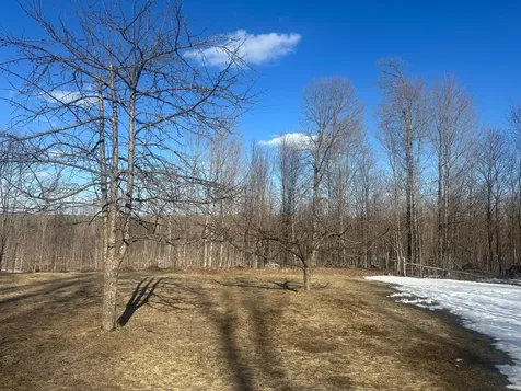 17166 Roddis Line Road Butternut WI 54514