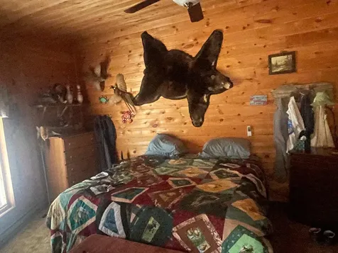 4091W Clover Road N Winter WI 54896