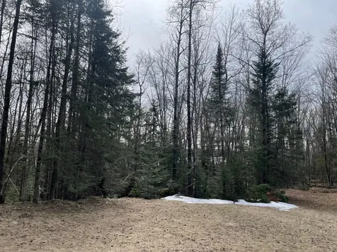 4091W Clover Road N Winter WI 54896