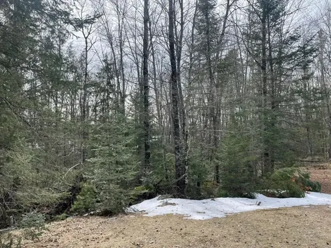 4091W Clover Road N Winter WI 54896