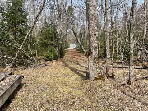 4091W Clover Road N Winter WI 54896