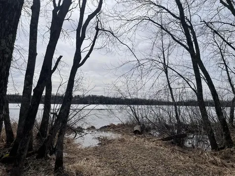 4091W Clover Road N Winter WI 54896