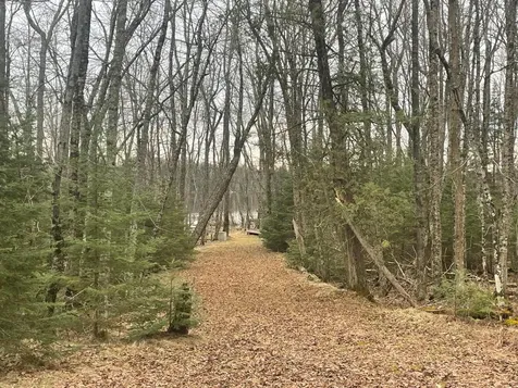 4091W Clover Road N Winter WI 54896