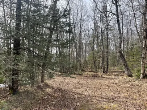 4091W Clover Road N Winter WI 54896