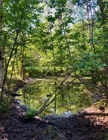 5812 Birchwood Lane Boulder Junction WI 54512