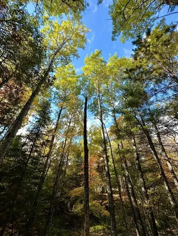 5812 Birchwood Lane Boulder Junction WI 54512