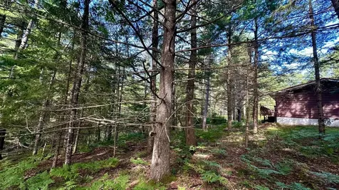 5812 Birchwood Lane Boulder Junction WI 54512