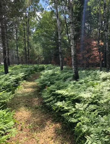 5812 Birchwood Lane Boulder Junction WI 54512