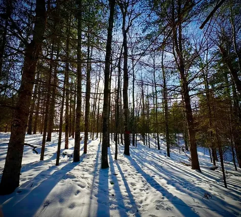 5812 Birchwood Lane Boulder Junction WI 54512