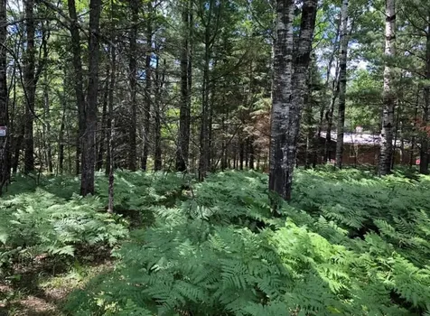 5812 Birchwood Lane Boulder Junction WI 54512