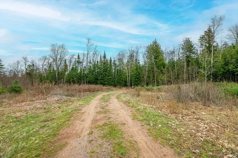 On Palmer Lake Road Land O Lakes WI 54540