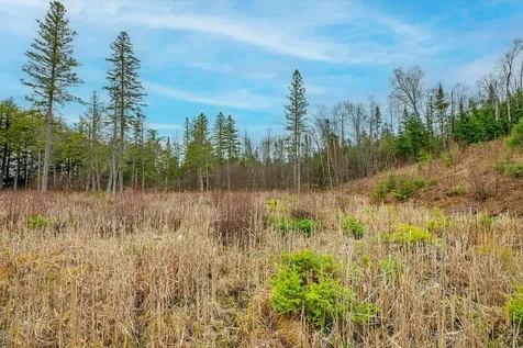 On Palmer Lake Road Land O Lakes WI 54540