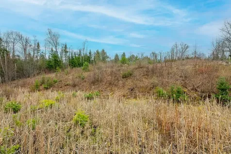 On Palmer Lake Road Land O Lakes WI 54540