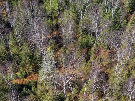On Highway 17 Sugar Camp WI 54521