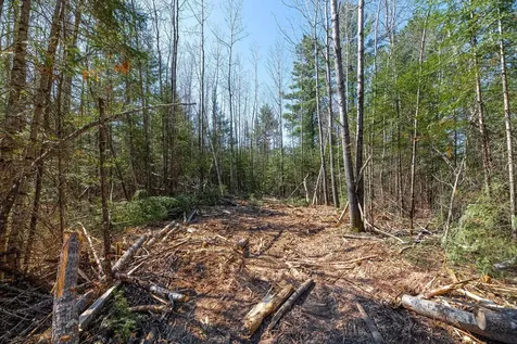 On Highway 17 Sugar Camp WI 54521