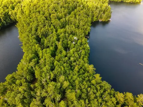 N8481 Bog Lake Road Gleason WI 54435