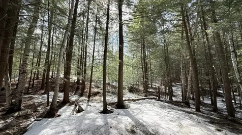 Lot 2 Star Trail Gleason WI 54435
