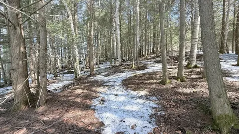 Lot 2 Star Trail Gleason WI 54435