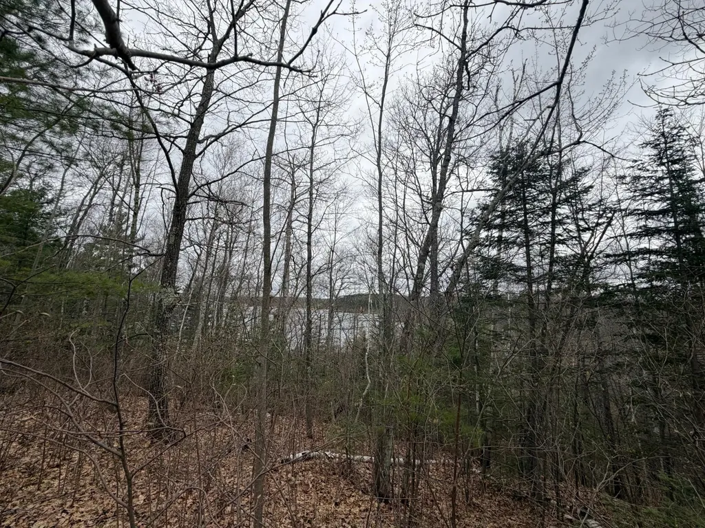 Lot 2 Bo Di Lac Road Lac Du Flambeau WI 54538
