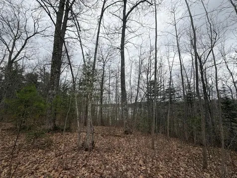 Lot 2 Bo Di Lac Road Lac Du Flambeau WI 54538