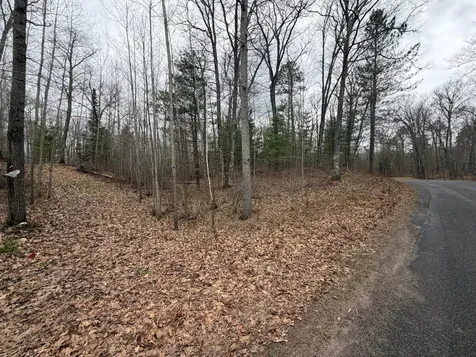 Lot 2 Bo Di Lac Road Lac Du Flambeau WI 54538