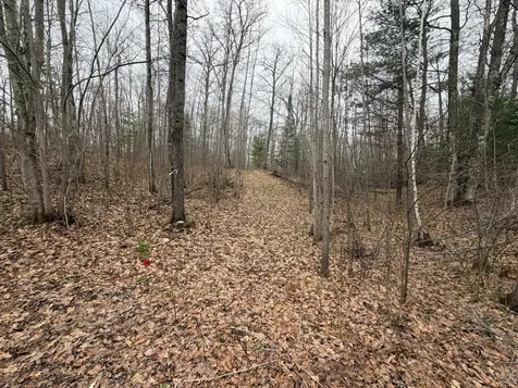 Lot 2 Bo Di Lac Road Lac Du Flambeau WI 54538