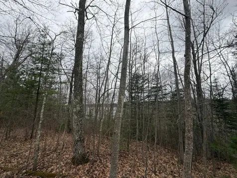 Lot 2 Bo Di Lac Road Lac Du Flambeau WI 54538