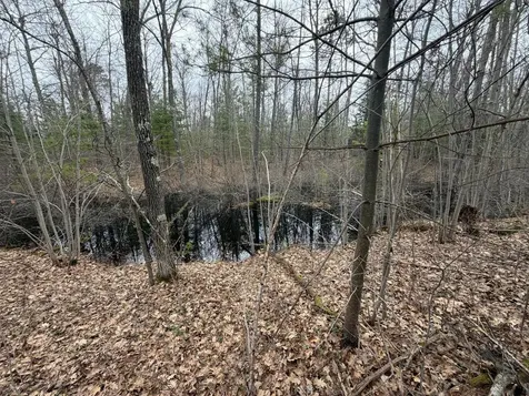Lot 2 Bo Di Lac Road Lac Du Flambeau WI 54538