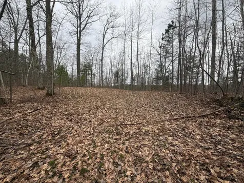 Lot 2 Bo Di Lac Road Lac Du Flambeau WI 54538