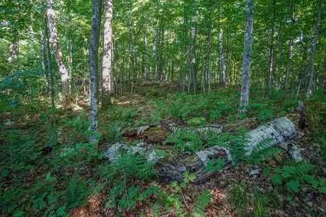 Lot 1 Village Point Lane Presque Isle WI 54557