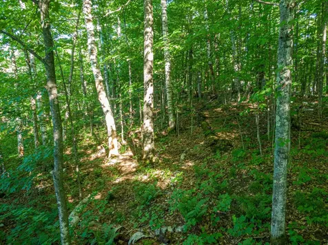 Lot 1 Village Point Lane Presque Isle WI 54557