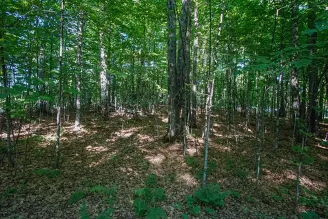Lot 1 Village Point Lane Presque Isle WI 54557