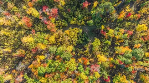 Lot 7 Northwestern Drive Rhinelander WI 54501