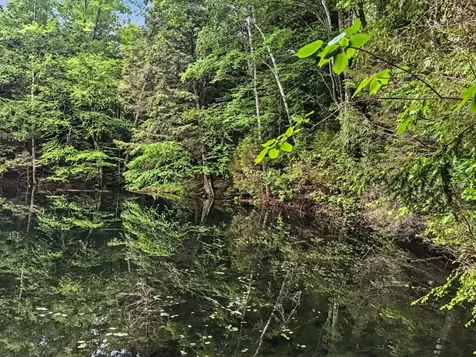 Lot 1 Star Trail Gleason WI 54435