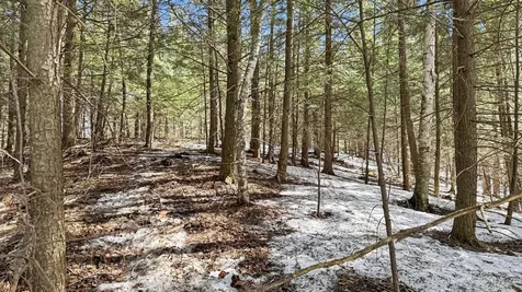 Lot 1 Star Trail Gleason WI 54435