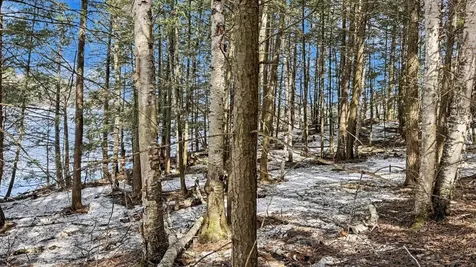 Lot 1 Star Trail Gleason WI 54435