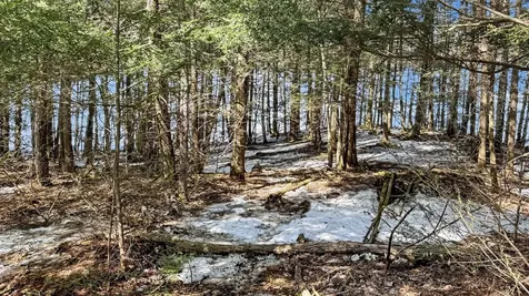 Lot 1 Star Trail Gleason WI 54435