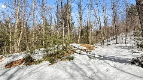 Lot 1 Star Trail Gleason WI 54435